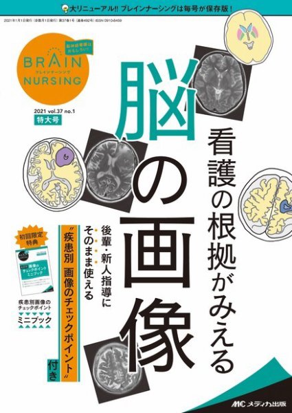 【★本編未開封新品★】BRAIN NAVIGATION（ブレインナビゲーション） ビッグX 【2026年モデル】最新地図(2025年度版) EX10NX2-JI-64 ALPINE