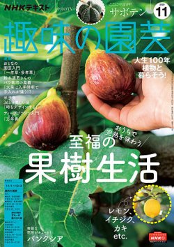 雑誌 定期購読の予約はfujisan 雑誌内検索 サボテン がnhk 趣味の園芸の年10月21日発売号で見つかりました