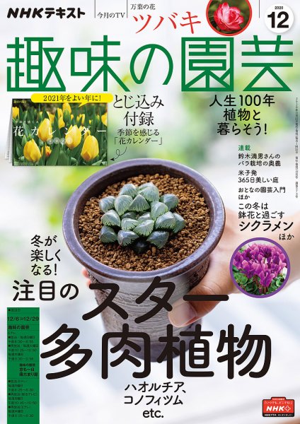 NHK 趣味の園芸 2020年12月号 (発売日2020年11月21日) 表紙
