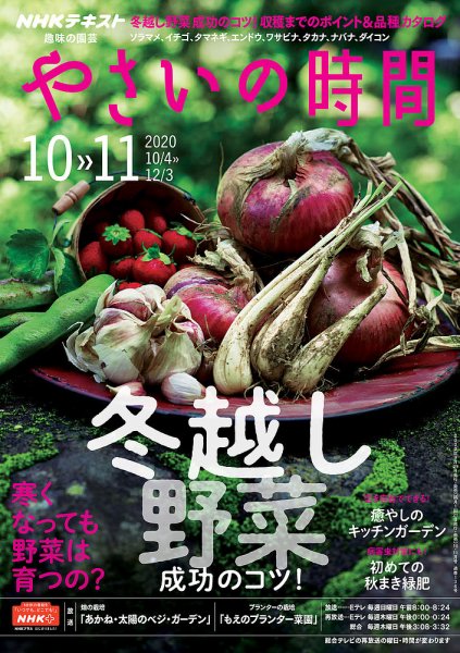 NHK 趣味の園芸 やさいの時間 2020年10月・11月号 (発売日2020年09月21