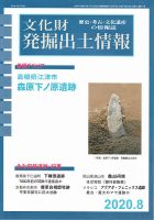 文化財発掘出土情報のバックナンバー (3ページ目 15件表示) | 雑誌/定期購読の予約はFujisan