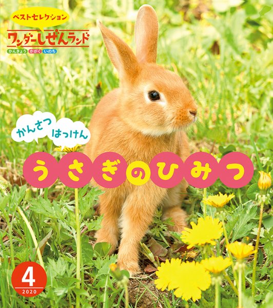 ワンダーしぜんランド 2020年4月号 (発売日2020年04月01日) 表紙