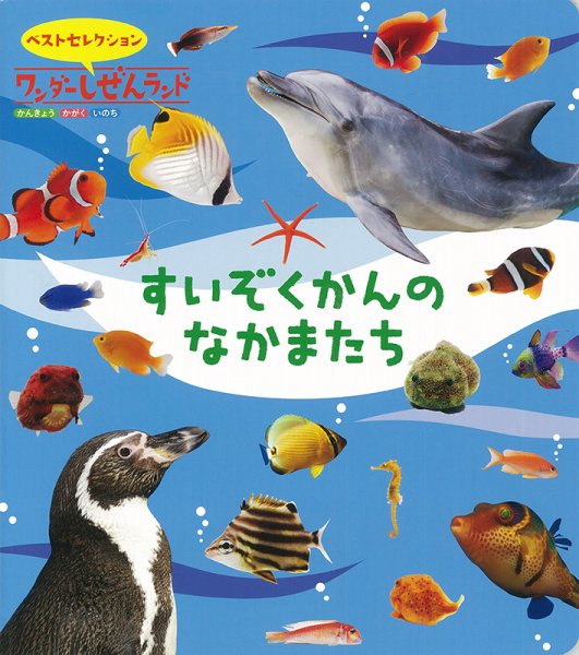 ワンダーしぜんランド 2020年8月号 (発売日2020年08月01日) 表紙