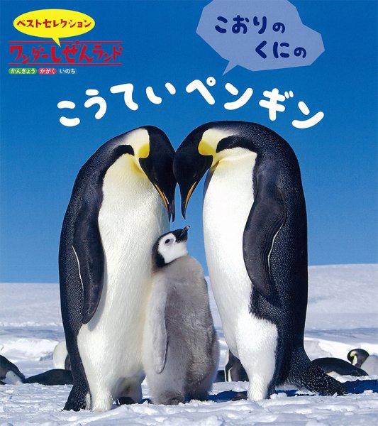 ワンダーしぜんランド 2021年2月号 (発売日2021年02月01日) 表紙