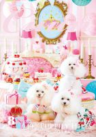 Cuun（クーン） 2020年8月号 (発売日2020年08月10日) 表紙