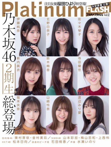 Platinum FLASH（プラチナフラッシュ） Vol.12 (発売日2020年02月28日) 表紙