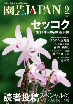 雑誌/定期購読の予約はFujisan 雑誌内検索：【胡蝶蘭 プロ】 が園芸Japanの2020年08月12日発売号で見つかりました！