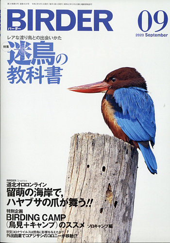 2010811_l.jpg