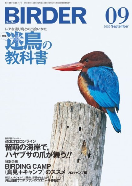 BIRDER（バーダー） 2020年9月号 (発売日2020年08月17日) 表紙
