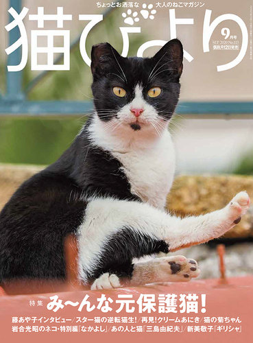 猫びより の最新号 雑誌 定期購読の予約はfujisan