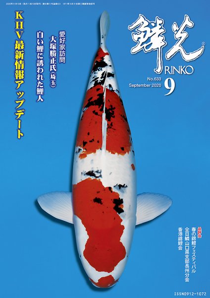 鱗光 2020年08月15日発売号 表紙