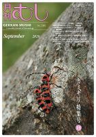 月刊むしのバックナンバー (3ページ目 30件表示) | 雑誌/定期購読の