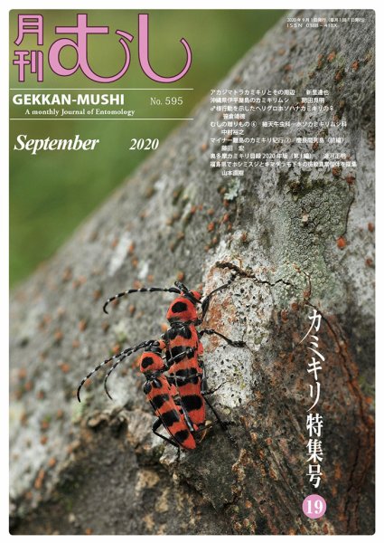 月刊むし 595 (発売日2020年08月20日) 表紙