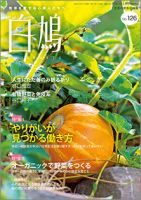 白鳩 No.126 表紙