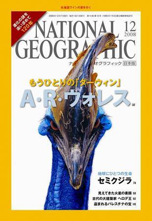 ナショナル ジオグラフィック日本版 12月号 (発売日2008年12月01日) 表紙