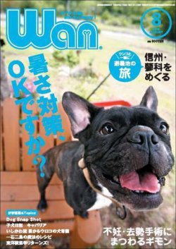 wan（わん） 2008年8月号 (発売日2008年07月14日) 表紙