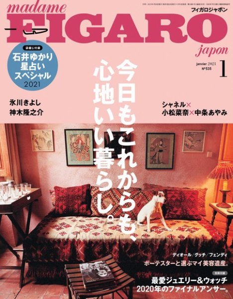 フィガロジャポン(madame FIGARO japon) 2021年1月号 (発売日2020年11月19日) 表紙