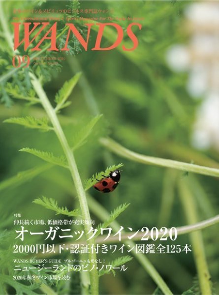WANDS（ウォンズ） No. 417 (発売日2020年09月05日) 表紙