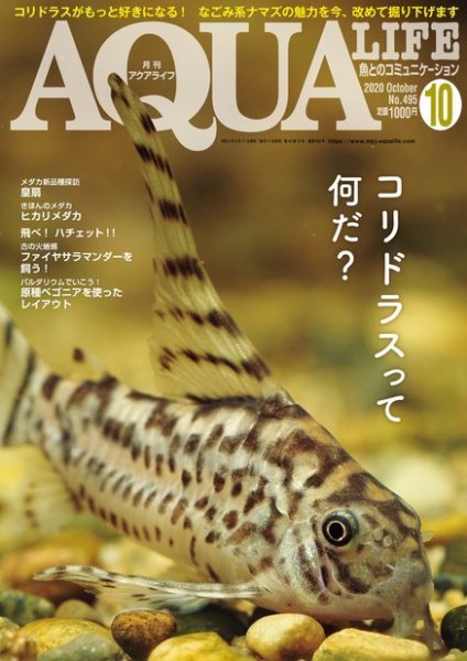 アクアライフ 10月号 (発売日2020年09月11日) 表紙