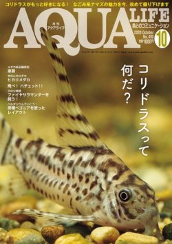 アクアライフ 10月号 (発売日2020年09月11日) | 雑誌/電子書籍/定期