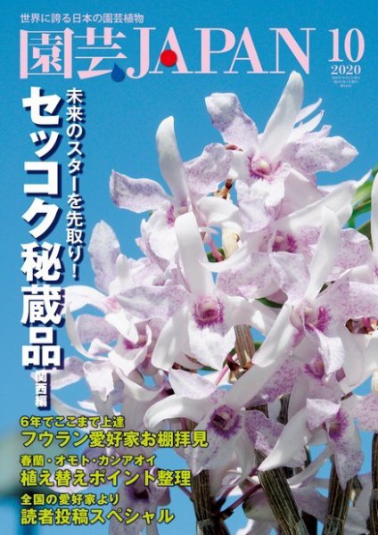 園芸Japan 2020年10月号 (発売日2020年09月12日) 表紙
