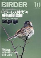 BIRDER（バーダー） 2020年10月号 表紙