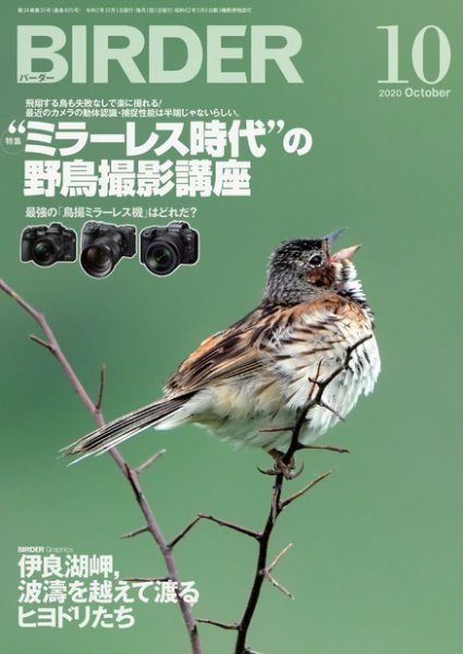 BIRDER（バーダー） 2020年10月号 (発売日2020年09月16日) 表紙