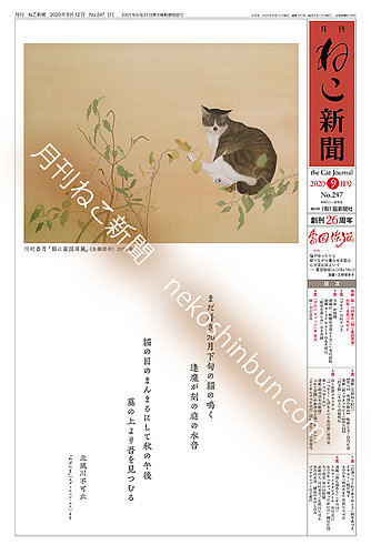 ねこ新聞 年９月号 発売日年09月12日 雑誌 定期購読の予約はfujisan