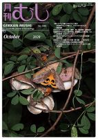 月刊むしのバックナンバー (3ページ目 30件表示) | 雑誌/定期購読の