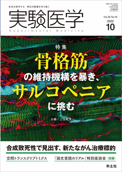 実験医学 Vol.38No.16 (発売日2020年09月20日) 表紙