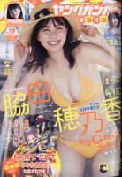 YOUNG GANGAN (ヤング・ガンガン) 表紙