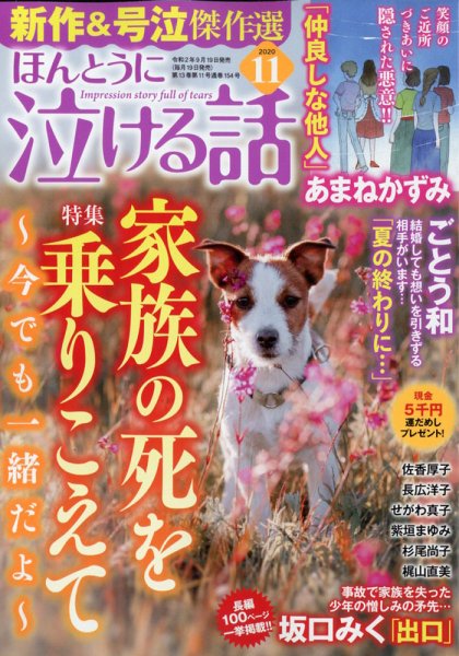 ほんとうに泣ける話 2020年11月号 (発売日2020年09月19日) 表紙