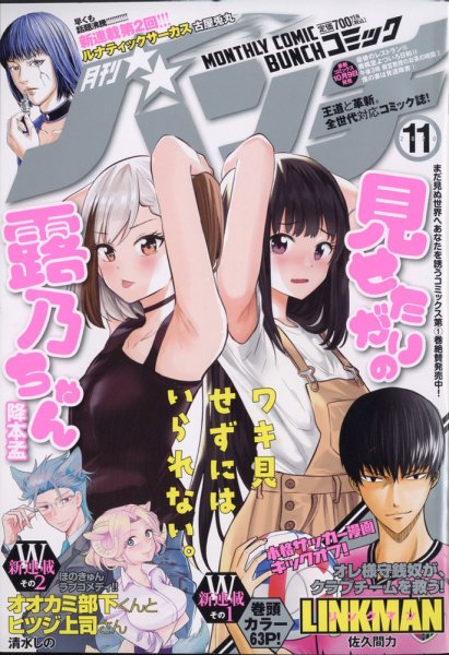 月刊コミックバンチ 2020年11月号 (発売日2020年09月19日) 表紙