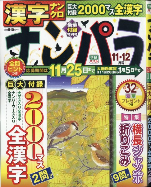 ナンパラ 2020年11月号 (発売日2020年09月26日) 表紙