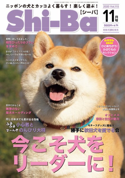 Shi-Ba(シーバ)　 2020年11月号 (発売日2020年09月29日) 表紙