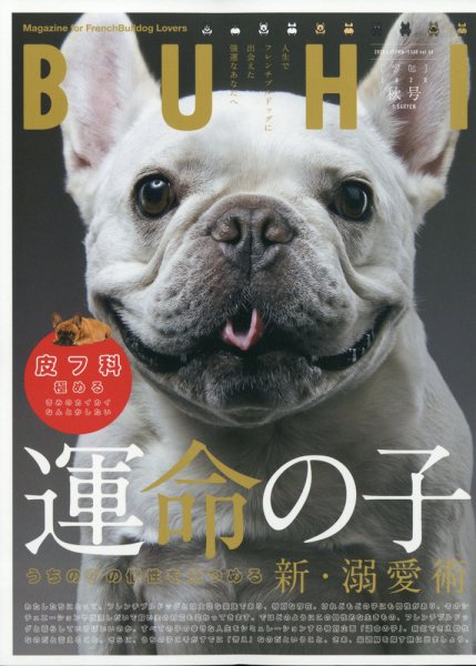 BUHI（ブヒ） 2020年11月号 (発売日2020年09月26日) 表紙