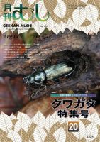 月刊むし 450 表紙