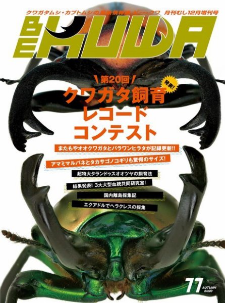 BE-KUWA（ビークワ） 77 (発売日2020年10月17日) 表紙