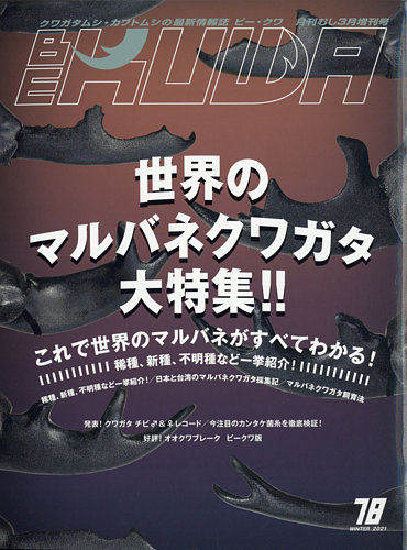 ビークワ 19冊 まとめ売り ビークワ89号[707]