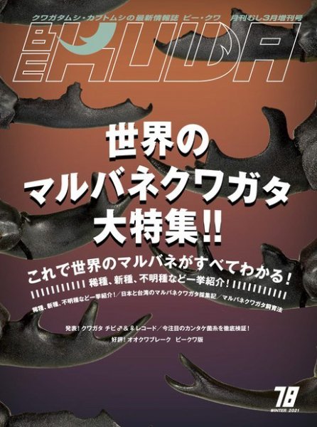 BE-KUWA（ビークワ） 78 (発売日2021年01月23日) 表紙