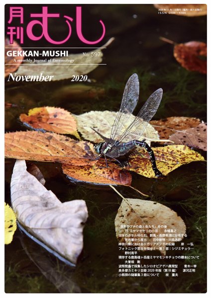 月刊むし 597 (発売日2020年10月23日) 表紙
