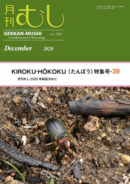 月刊むし 598 (発売日2020年11月24日) 表紙