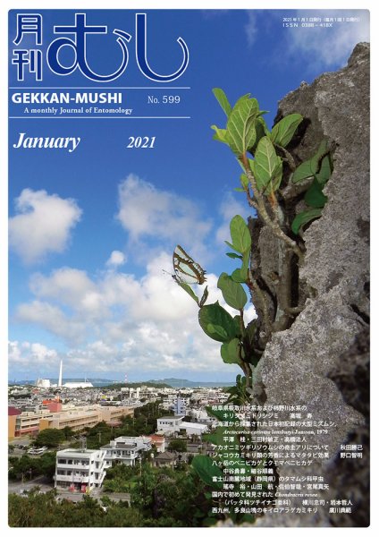 月刊むし 599 (発売日2020年12月19日) 表紙