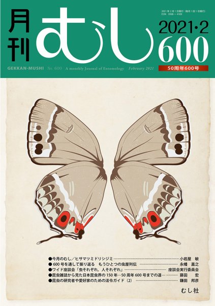 月刊むし 600 (発売日2021年01月20日) 表紙