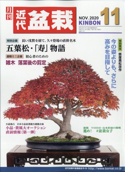 月刊 近代盆栽 2020年11月号 (発売日2020年10月02日) 表紙