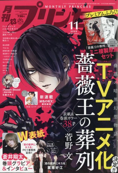 プリンセス 2020年11月号 (発売日2020年10月06日) 表紙