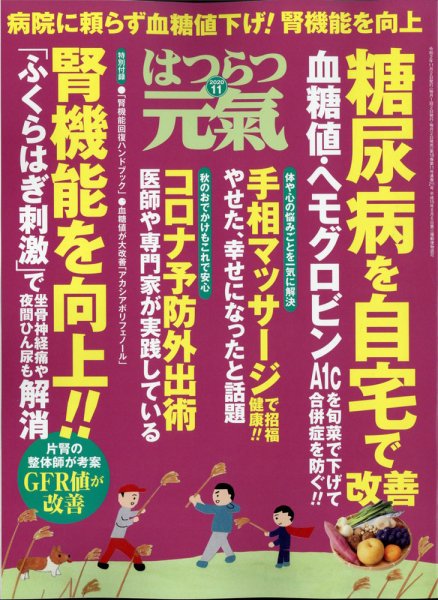 はつらつ元気 2020年11月号 (発売日2020年10月02日) 表紙