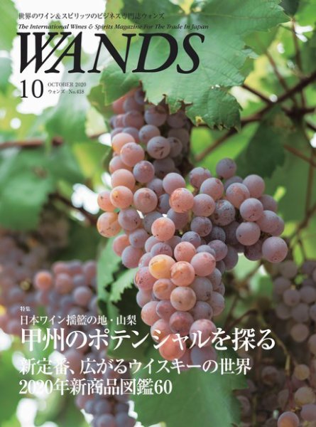 WANDS（ウォンズ） No.418 (発売日2020年10月05日) 表紙