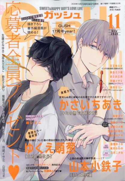 GUSH（ガッシュ） 2020年11月号 (発売日2020年10月07日) 表紙