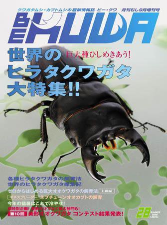 BE-KUWA（ビークワ） 28 (発売日2008年07月15日) 表紙